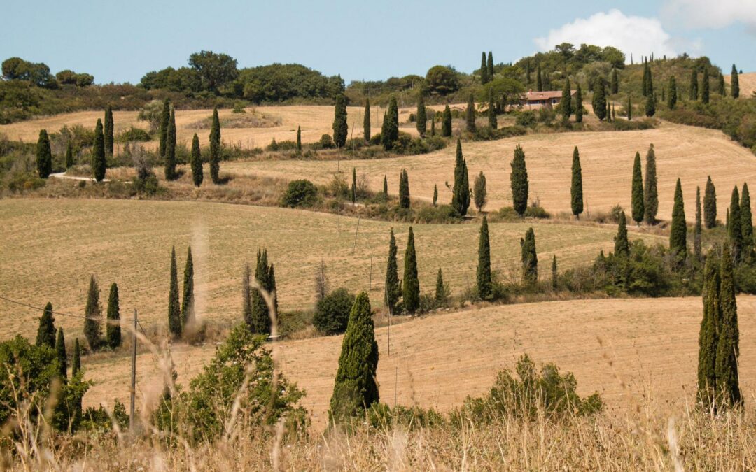 L’Estate d’Arezzo