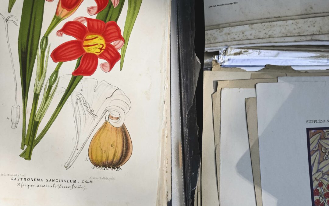 Decorare una parete è un gesto che racconta chi siamo
